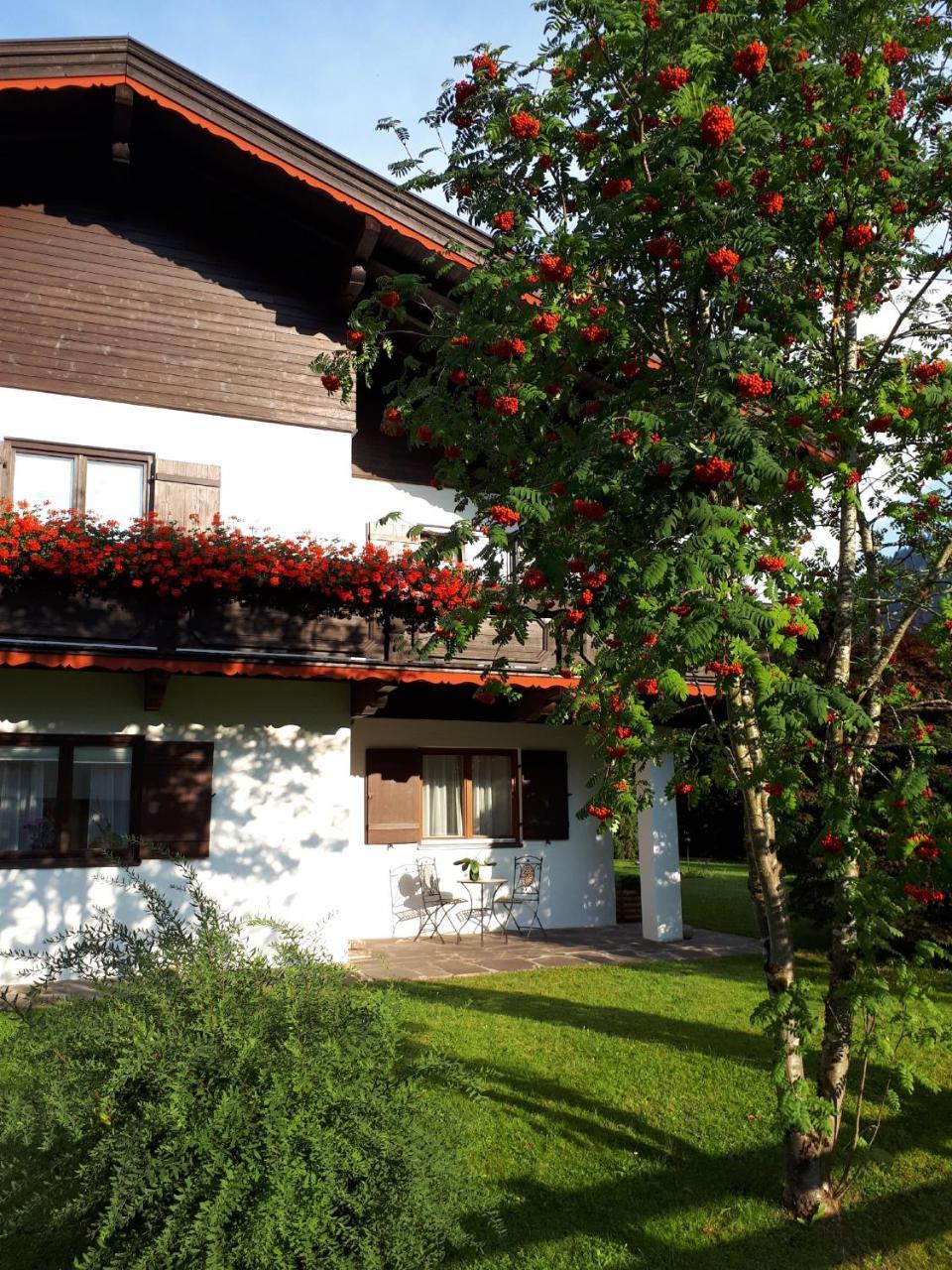 Haus Slechta Apartment Kitzbühel Exterior foto